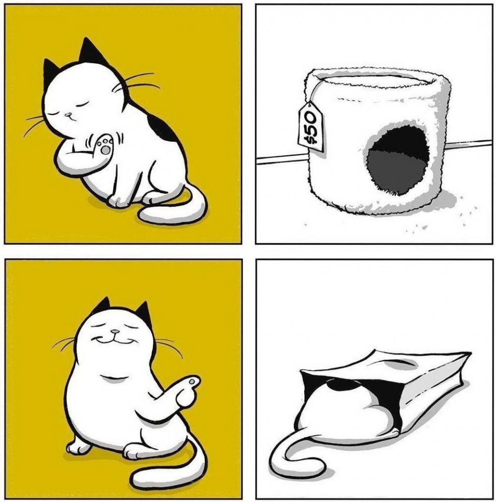 Смешные коты комиксы