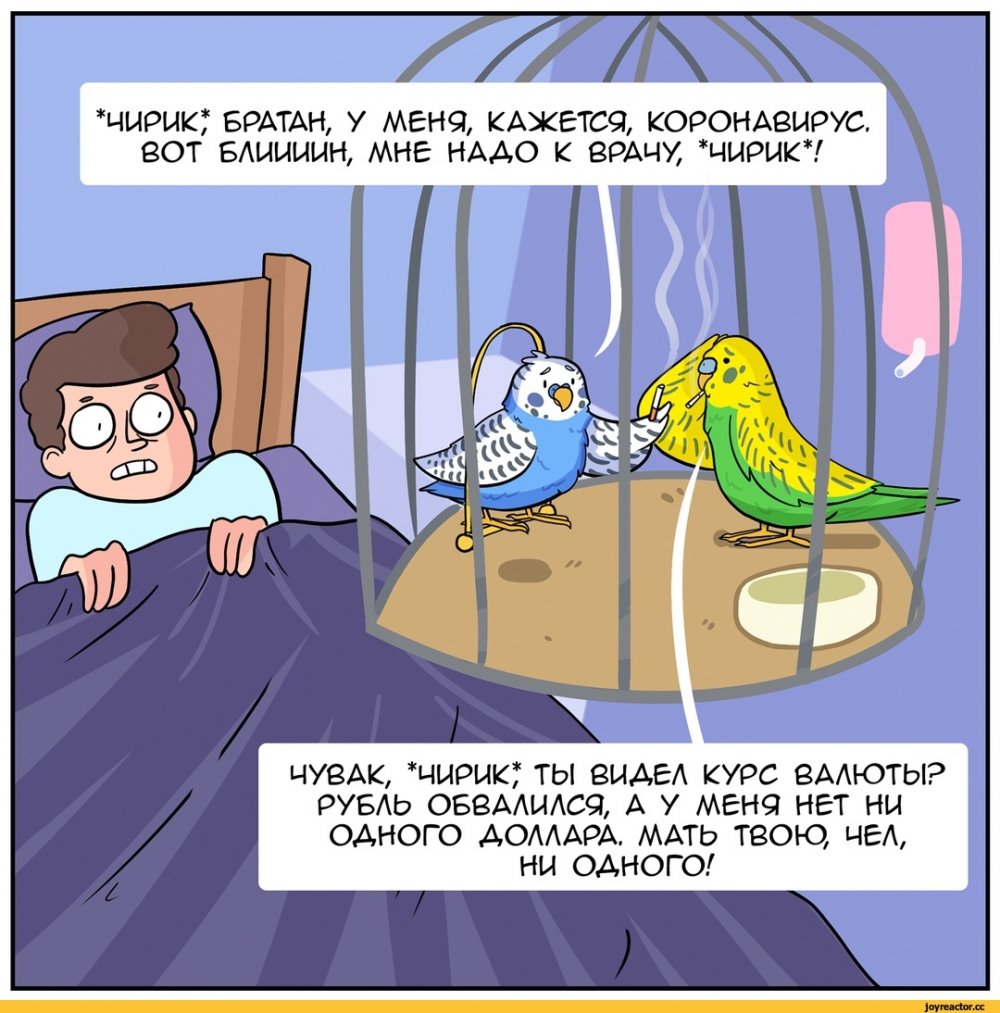 Смешные комиксы с попугаями