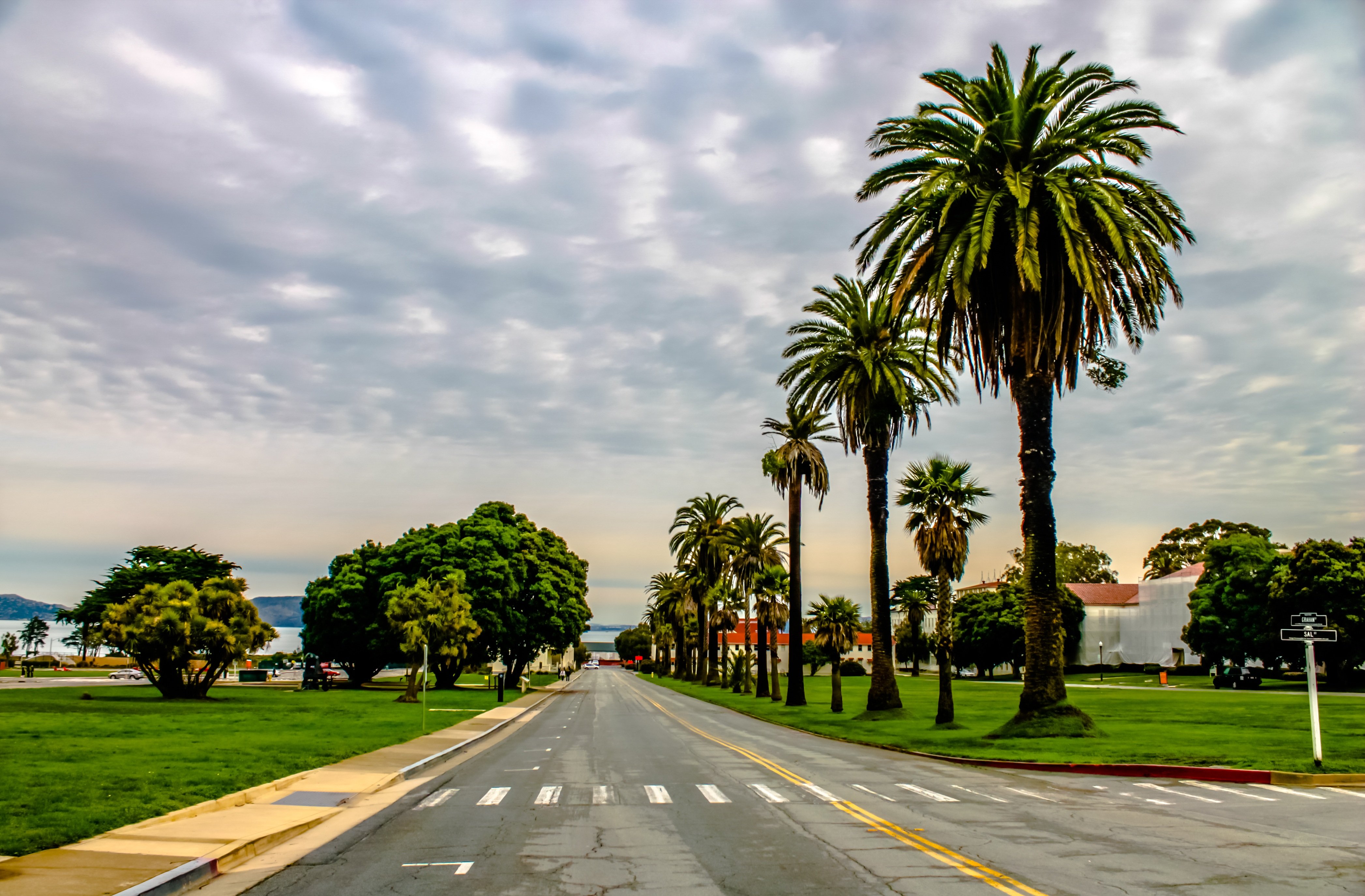 Сан анджелес. Калифорния Сан Франциско пальмы. Лос Анджелес Калифорния пальмы. Лос-Анджелес Калифорния набережная. Дорога Майами Лос Анджелес.