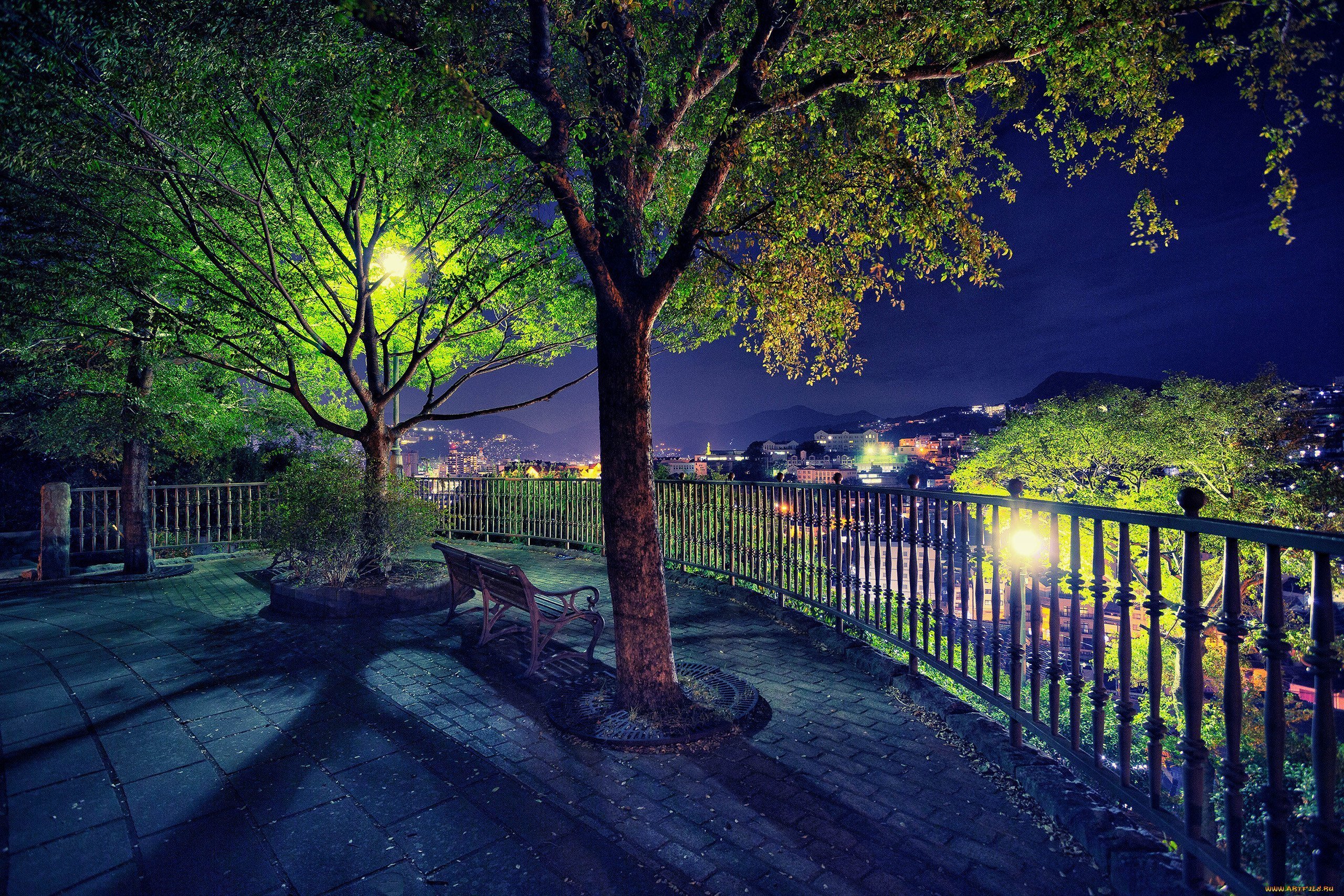 Улица ночью весной. Вечерний парк. Красивый парк. Летняя ночь в городе. Ночной парк.