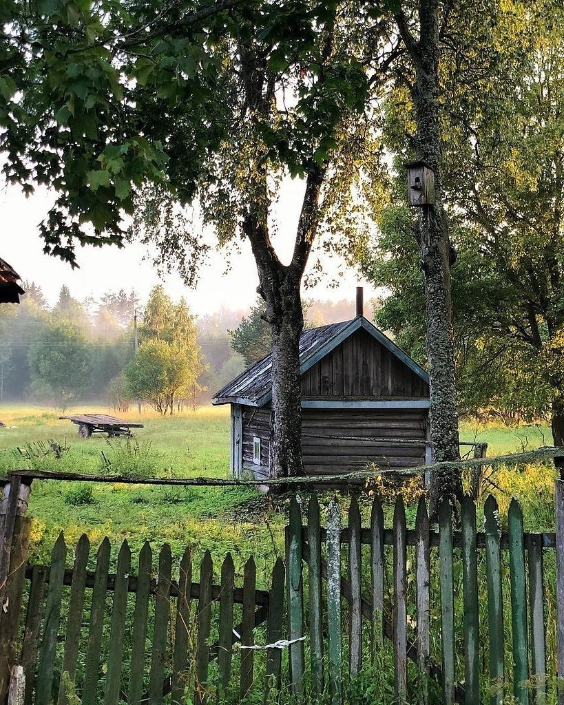 Деревня летом
