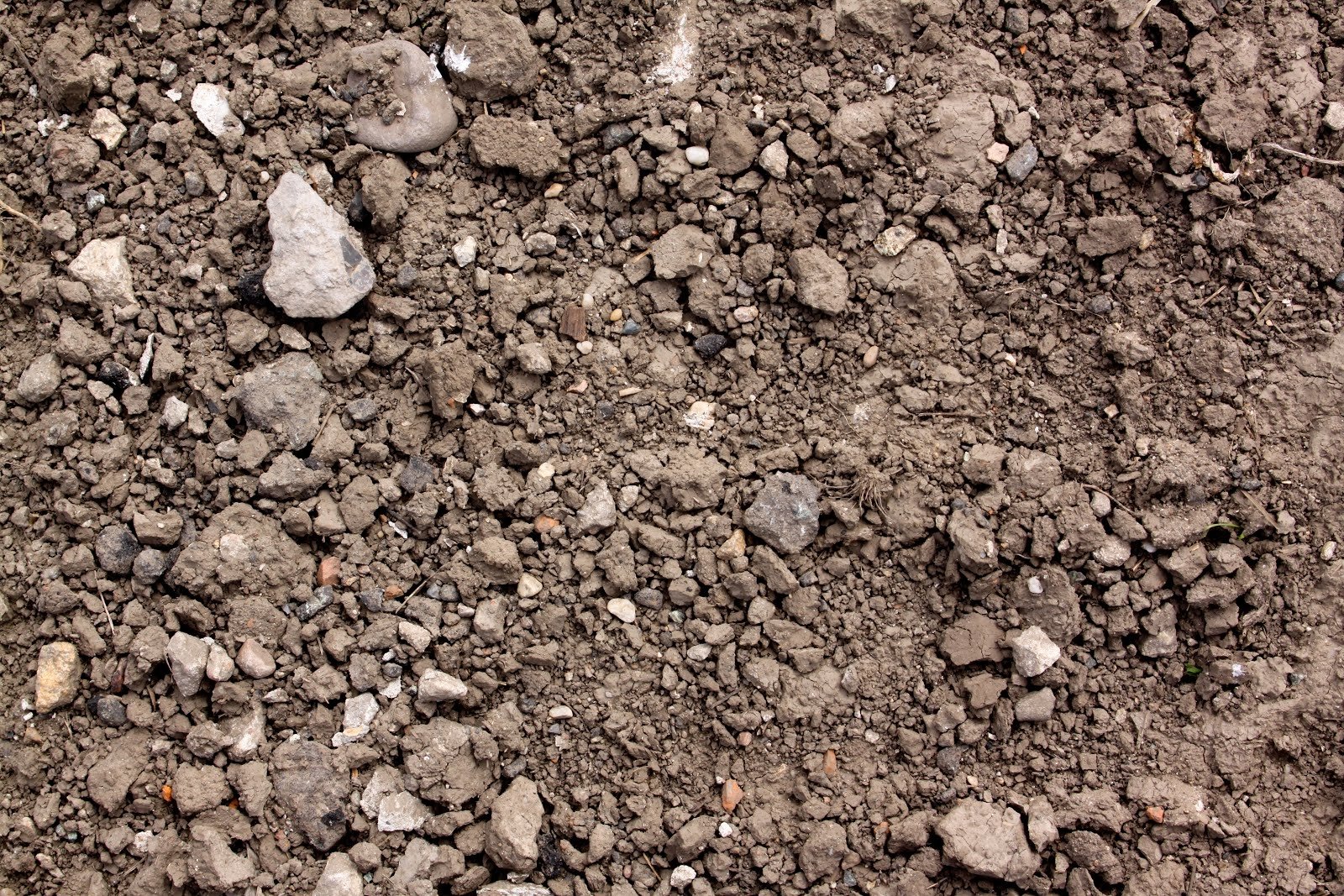 Почвы малоплодородны и сильно заболочены короткие. Дирт грунт. Грунт Soil. Грунт текстура. Рыхлая почва.