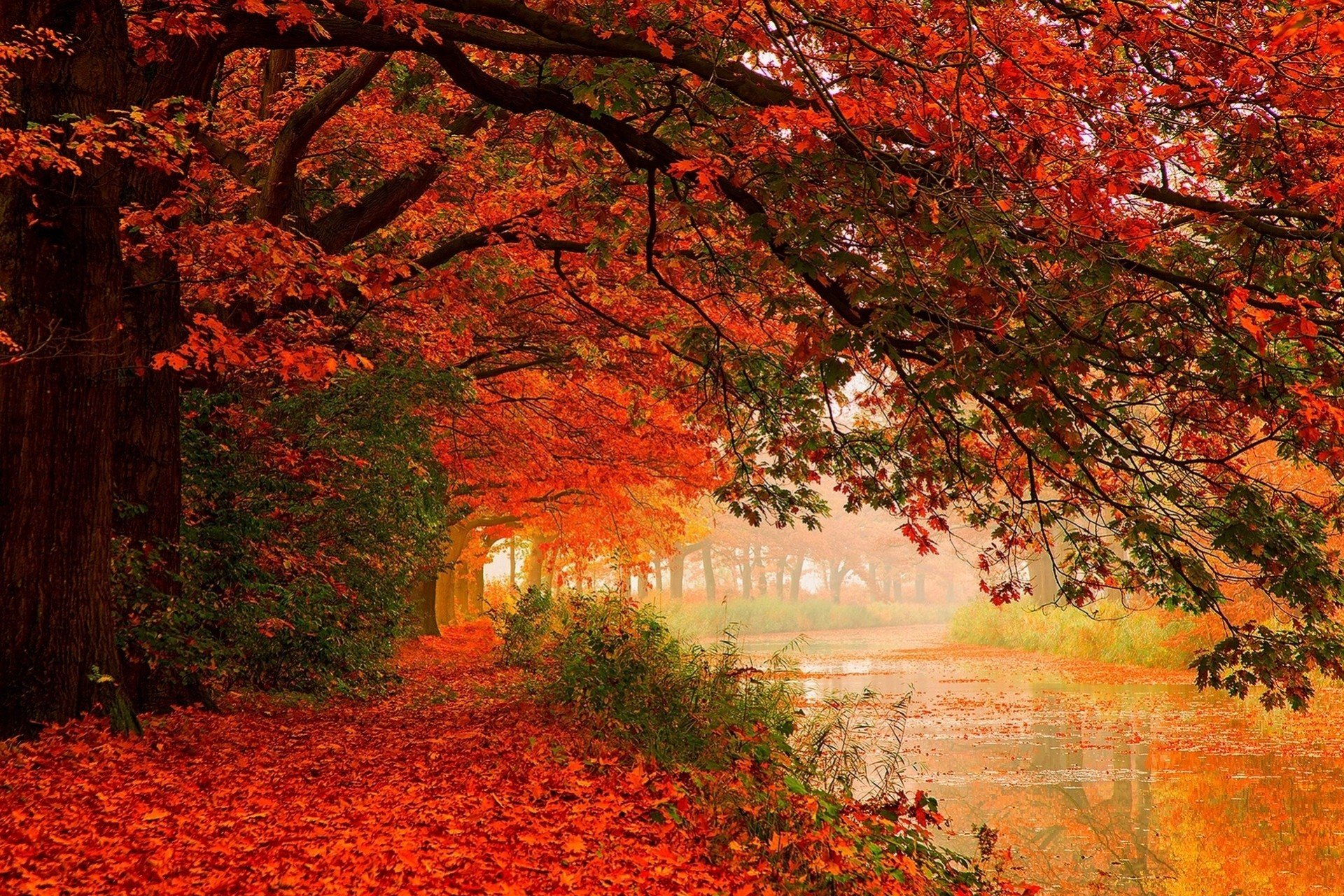Осень картинки. Красивая осень. Фотообои осень. Яркие краски осени. Очень красивые осенние пейзажи.