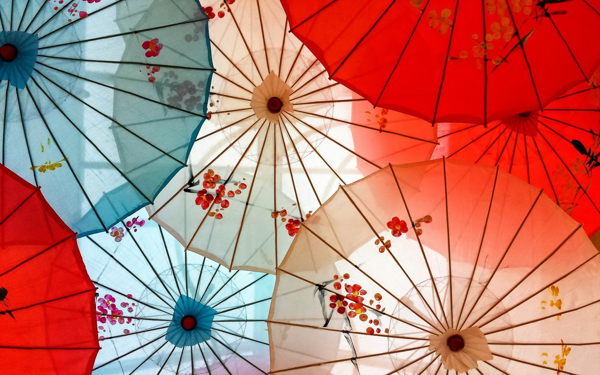 Обои зонтика. Японский зонт. Китайский зонтик. Красивые зонтики. Красочный зонтик.