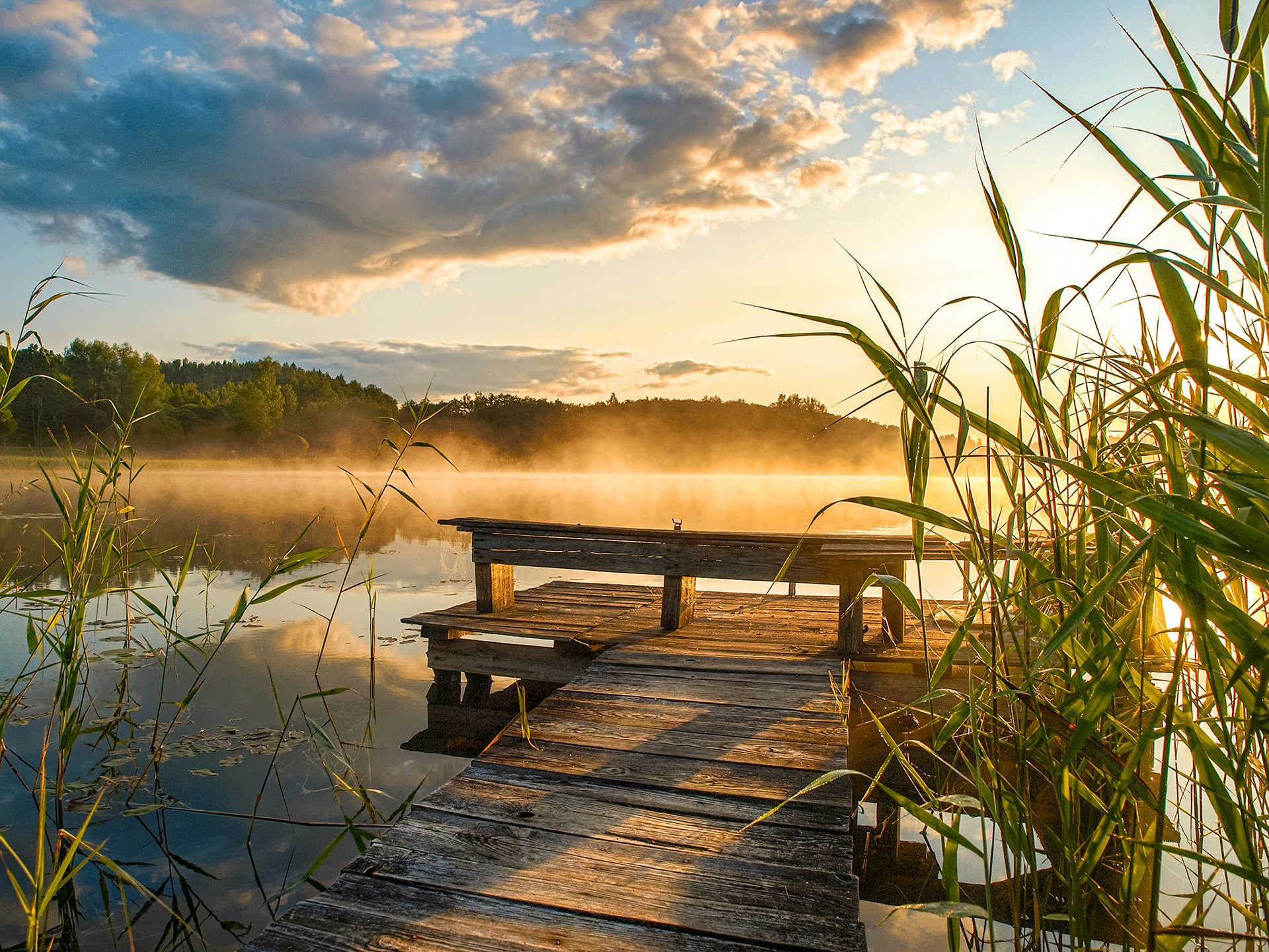Спокойной утро природа. Умиротворяющий пейзаж. Утро природа. Мостик на озере. Рассвет на озере.