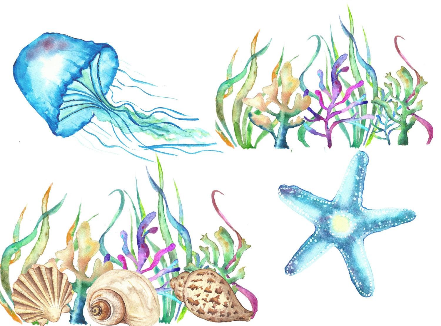 Водоросли ракушки. Морское дно акварелью. Рисунки на морскую тему. Водоросли ракушки и морские обитатели. Морские темы для рисования.