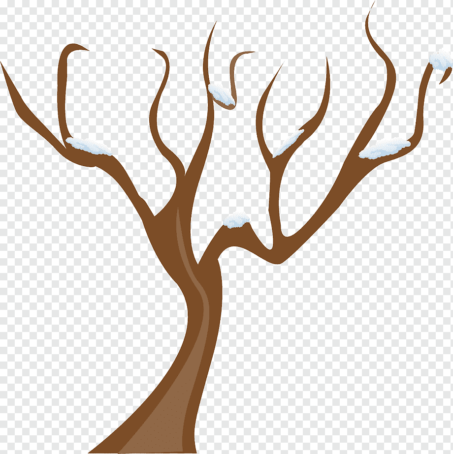 Дерево без листьев на прозрачном фоне