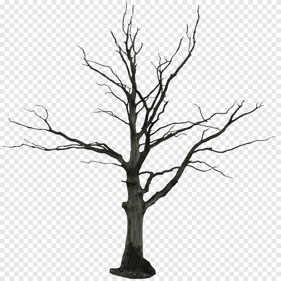Голое дерево