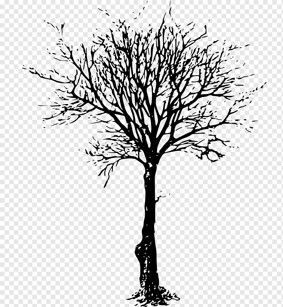 Ствол дерева силуэт