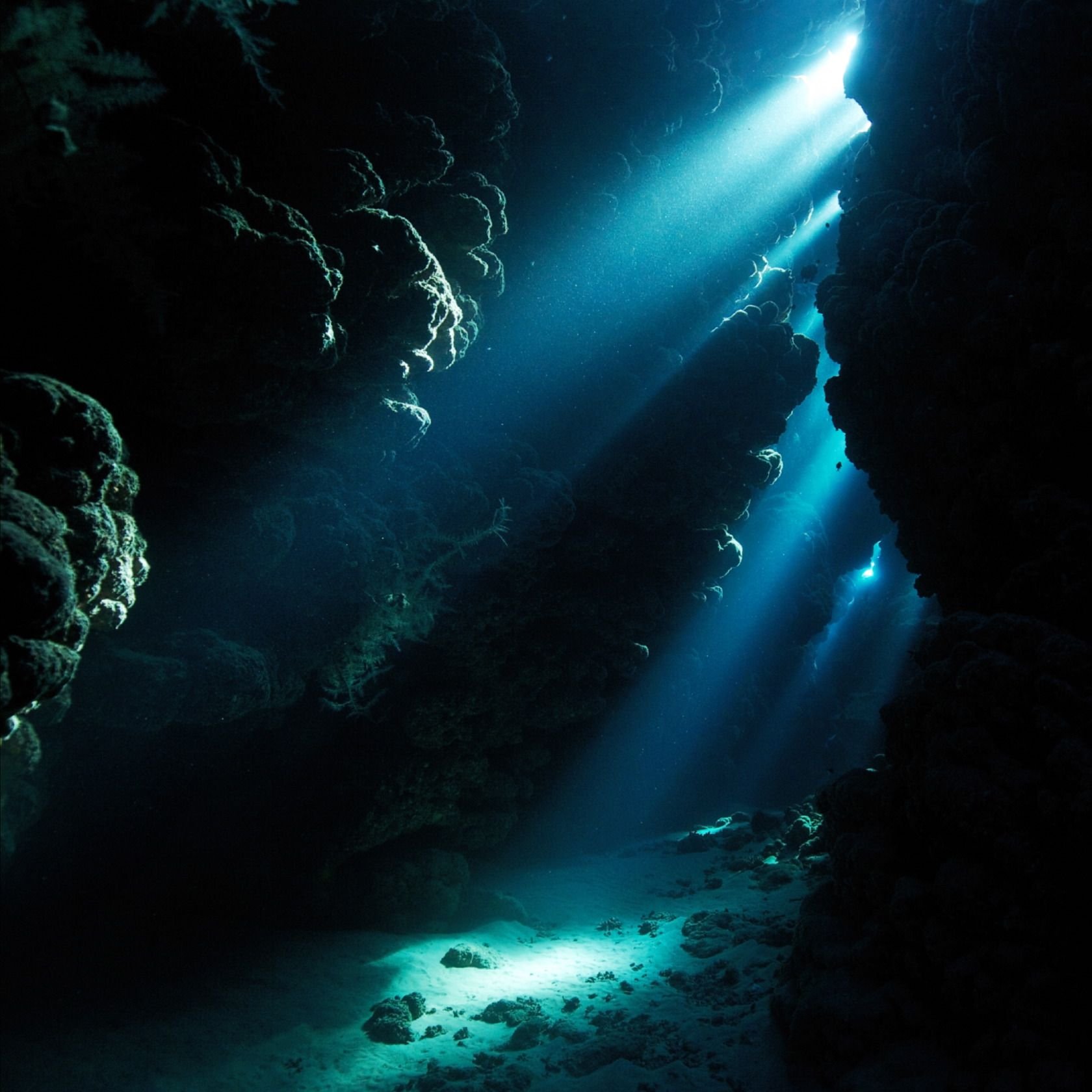 Бездна картинки. Риф Сильфра Исландия. Океаны. Глубина. Темное дно океана. Подводные пещеры.