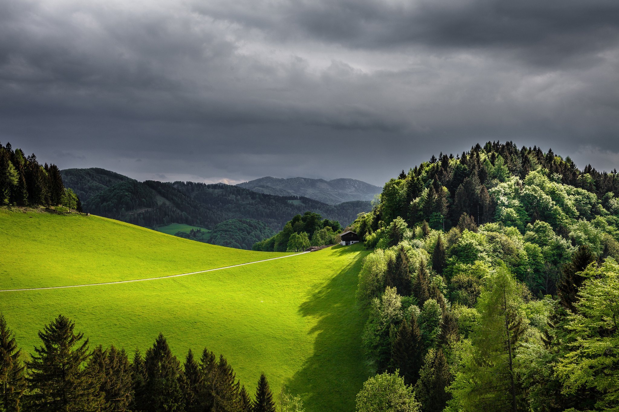 Горы поросшие лесом. Лесистые холмы Швейцария. Лесистые Карпаты. Зелёные холмы Гринфилд. Пейзаж леса.