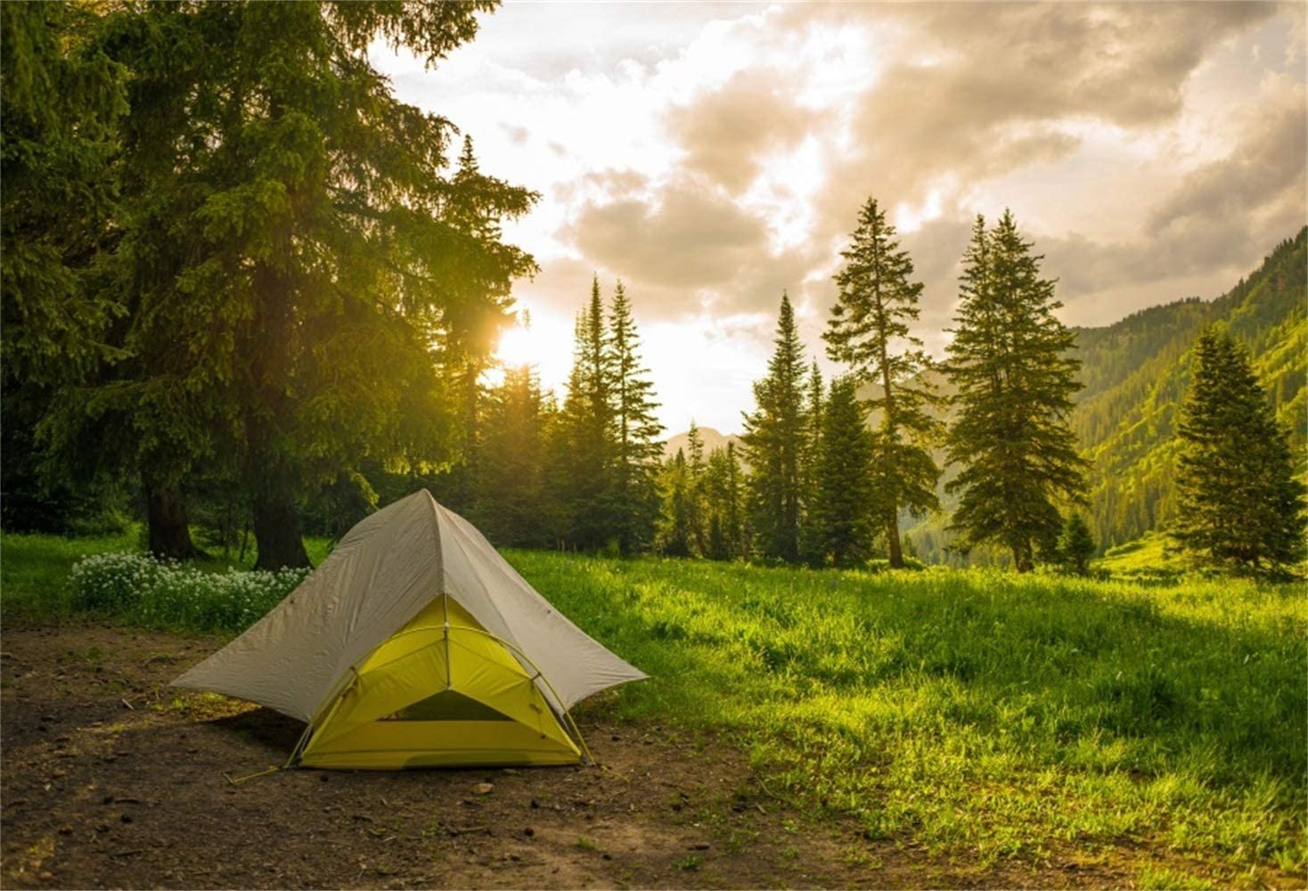 Палатка туристическая 8. Палатка на природе. Туристическая палатка на природе. Фон природа палатка. Кемпинг в лесу с палатками.