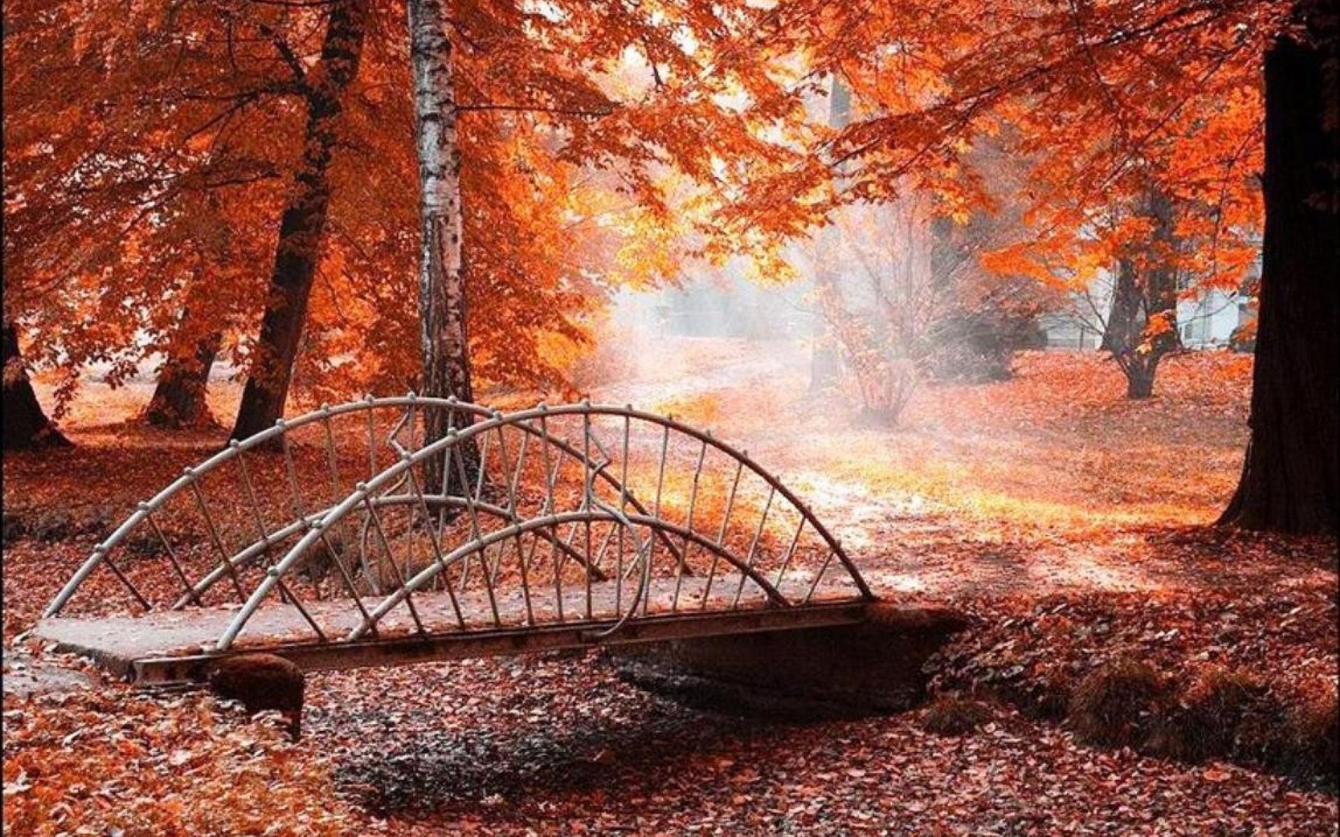 Парк ласковый. Осень. Осенний парк с мостиком. Осень в парке. Осенние картинки красивые.