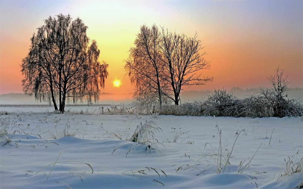 Утро в Сибири зимой