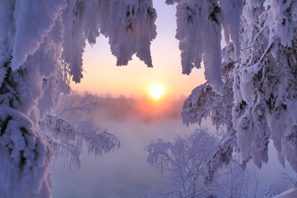 Чудеса зимней природы