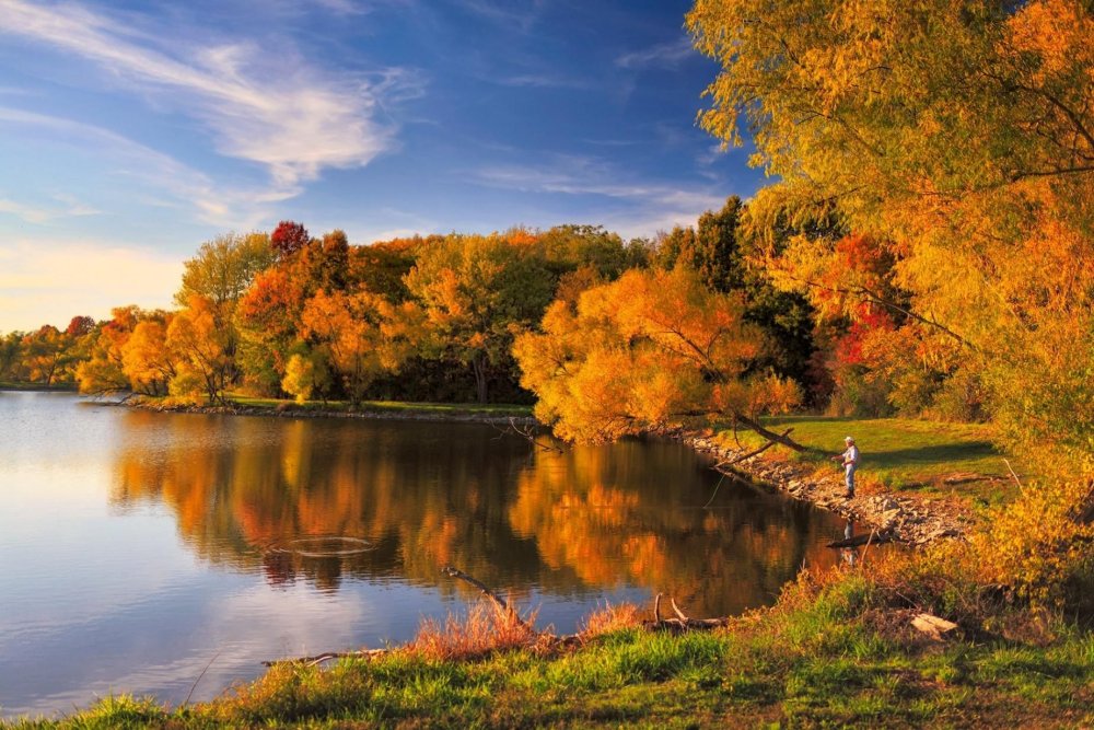 Золотая осень лес река