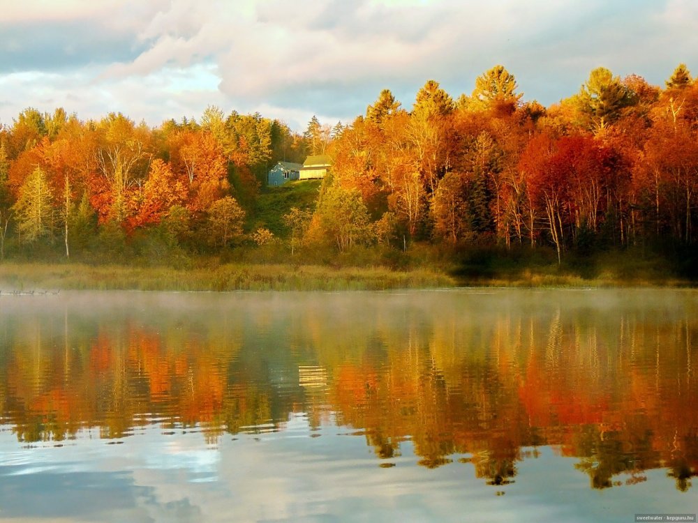 Осенний лес с отражением в воде