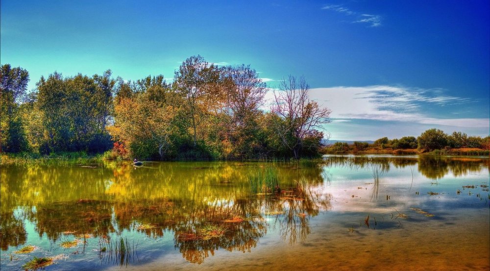 Осенний пейзаж с речкой