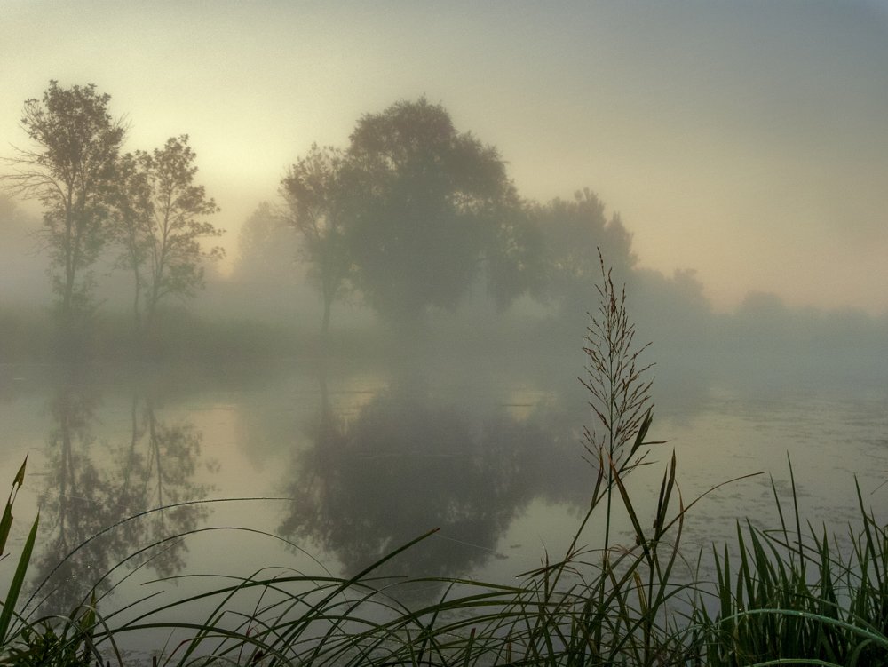 Туман над речкой