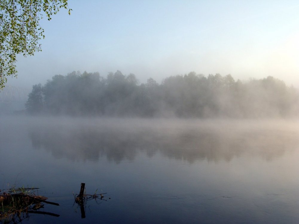 Озеро Рахмановская Старица туман