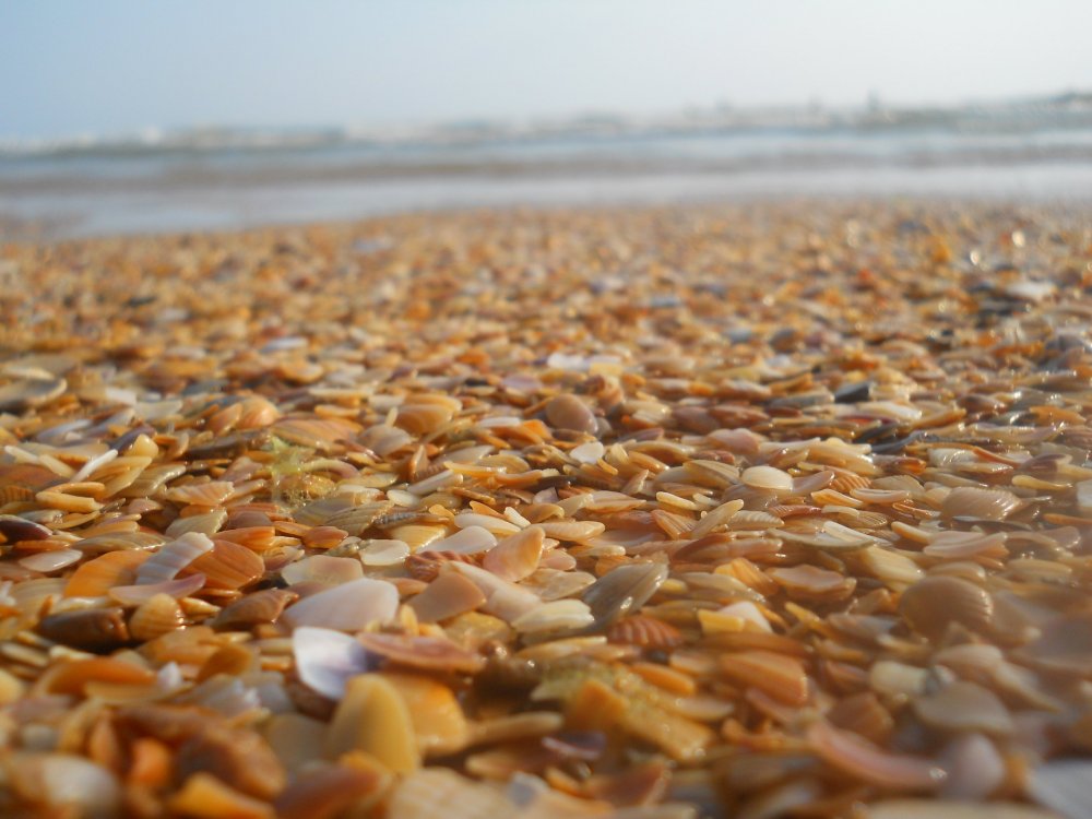 Витязево каменный пляж