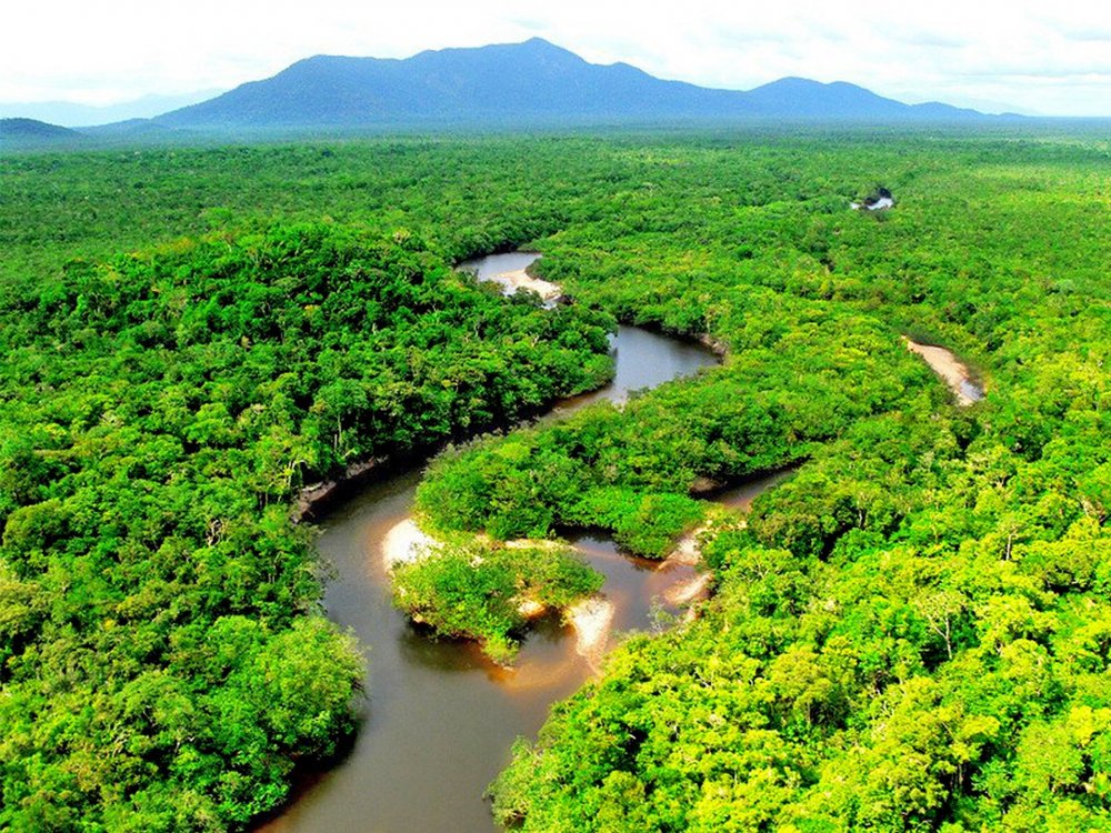 Амазонка река, бразилия