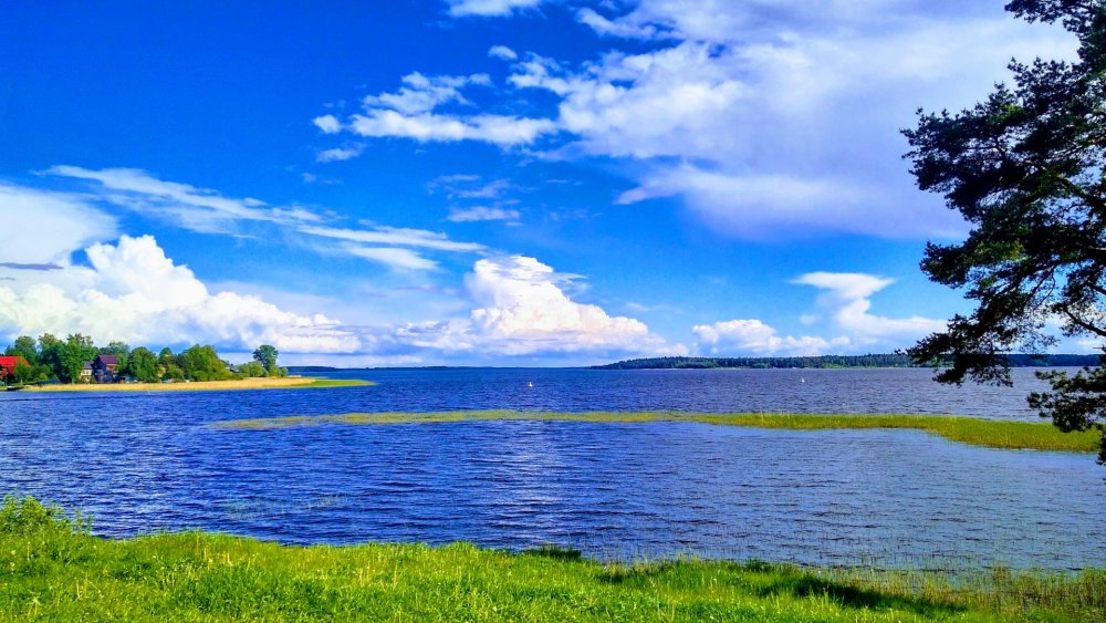 Озеро Селигер озёра Тверской области