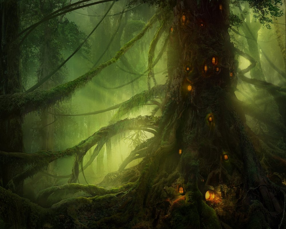 Темный волшебный лес