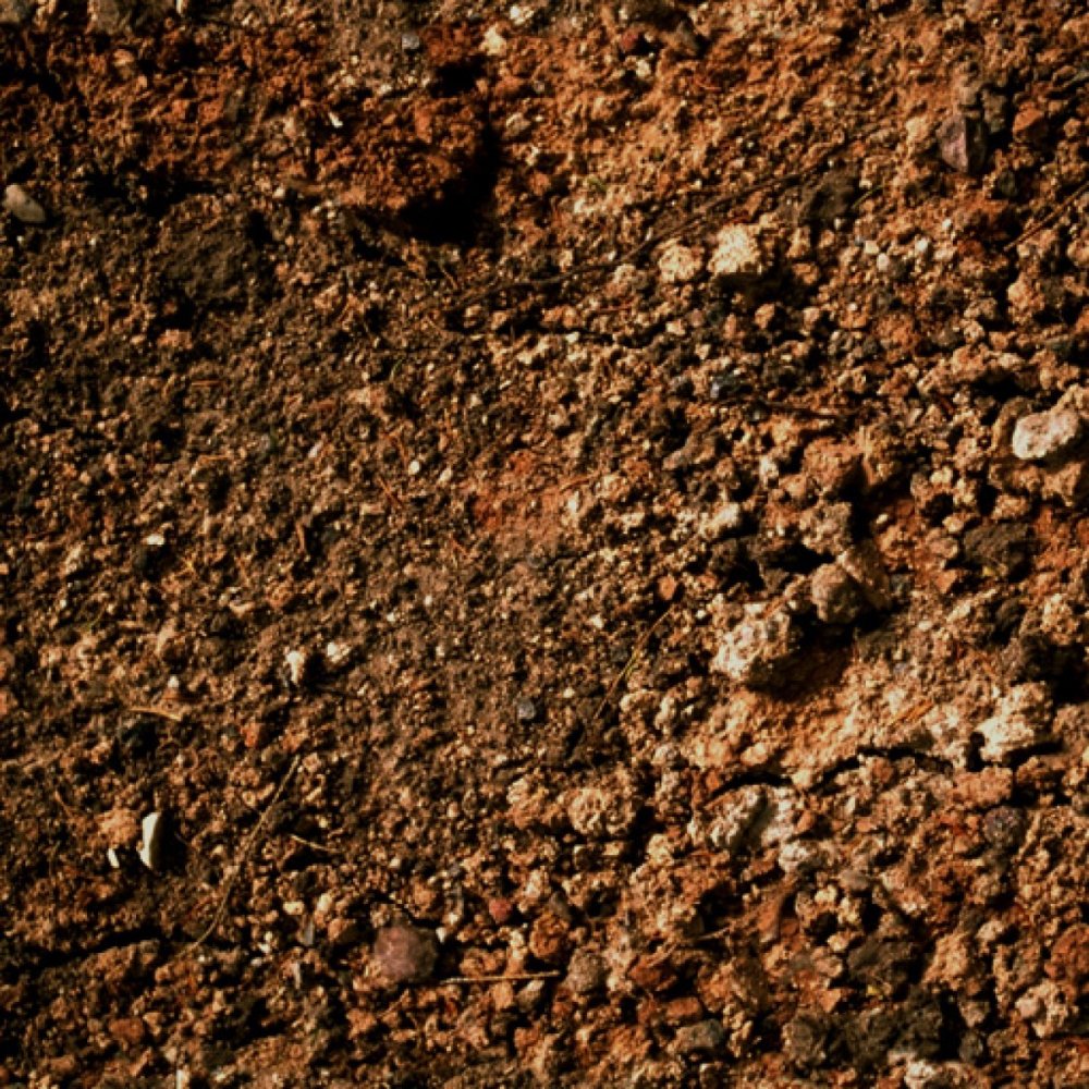 Преобладание коричневых почв. Грунт текстура. Текстура земли. Земля почва. Почва текстура.