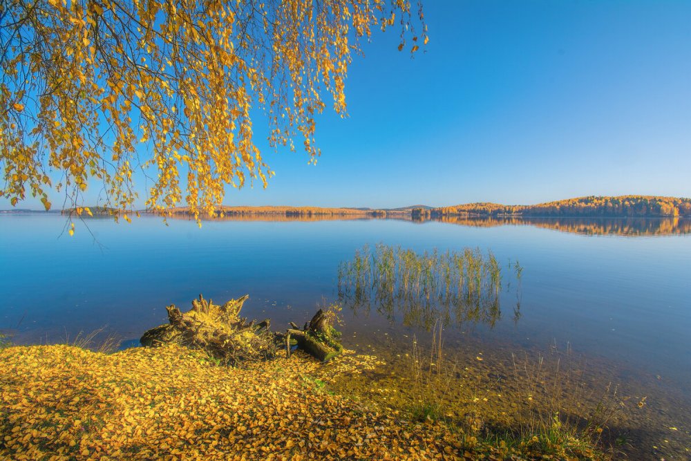 Балтым Свердловская область осень