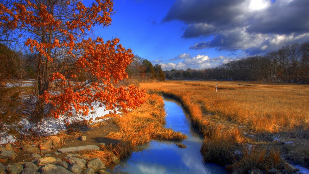 Красивые пейзажи природы осень