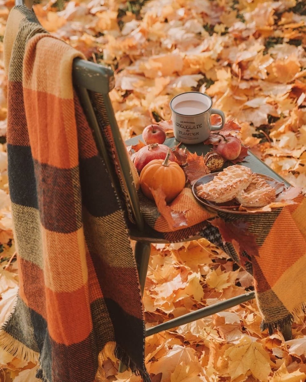 Осенний уют