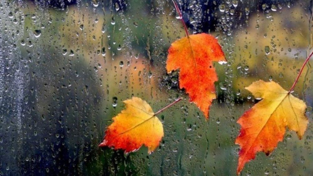 Хмурая дождливая наступила осень