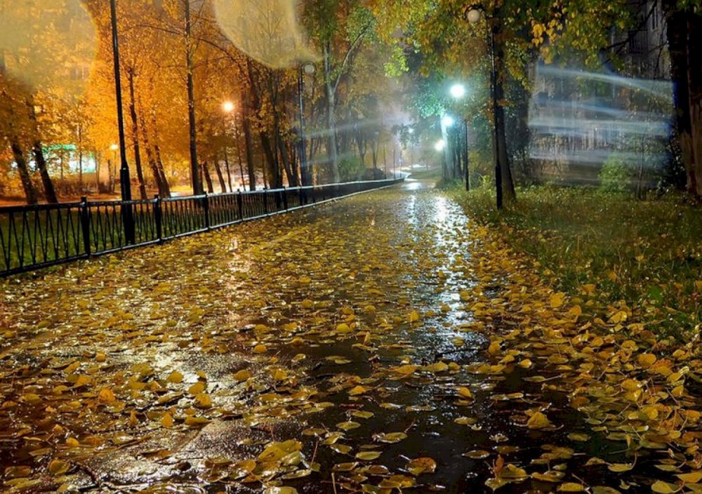 Осень город дождь