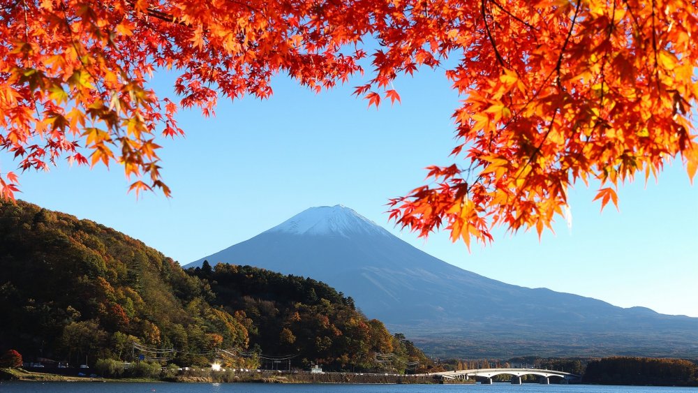 Япония Фудзияма осень