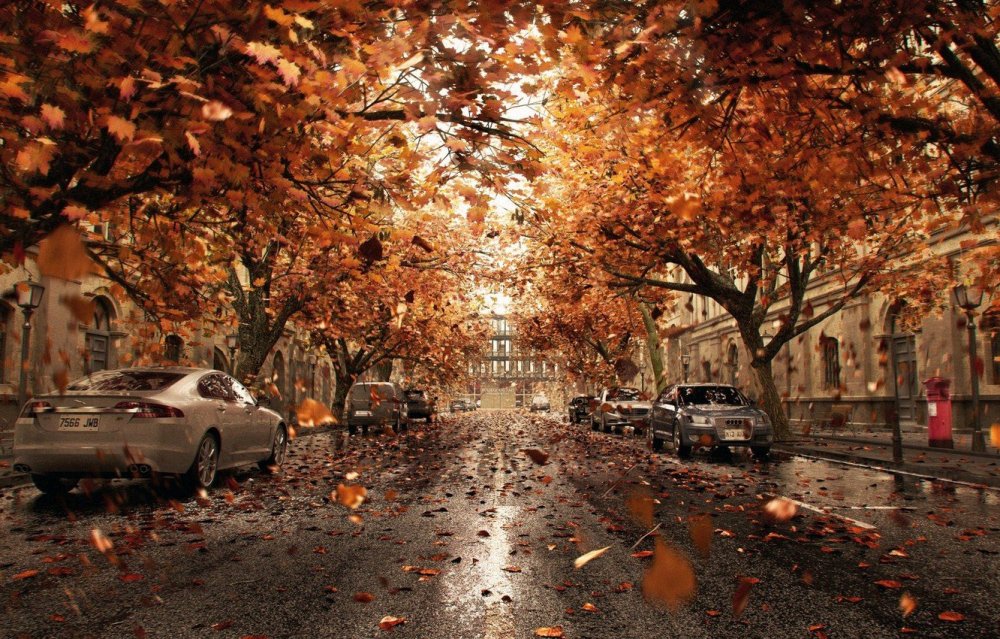Осень в городе