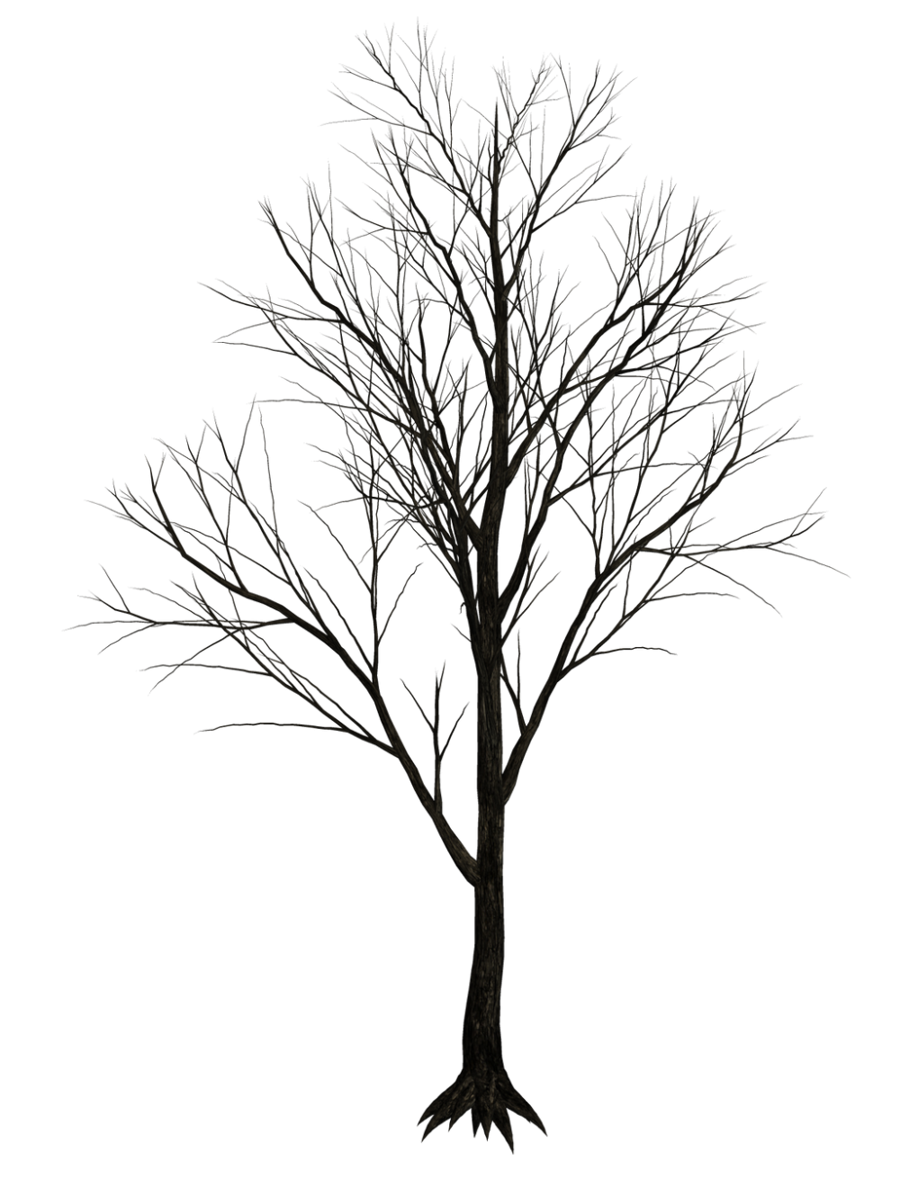 Дерево без листвы