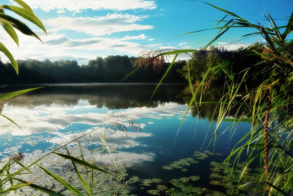 Озеро Чаны фото