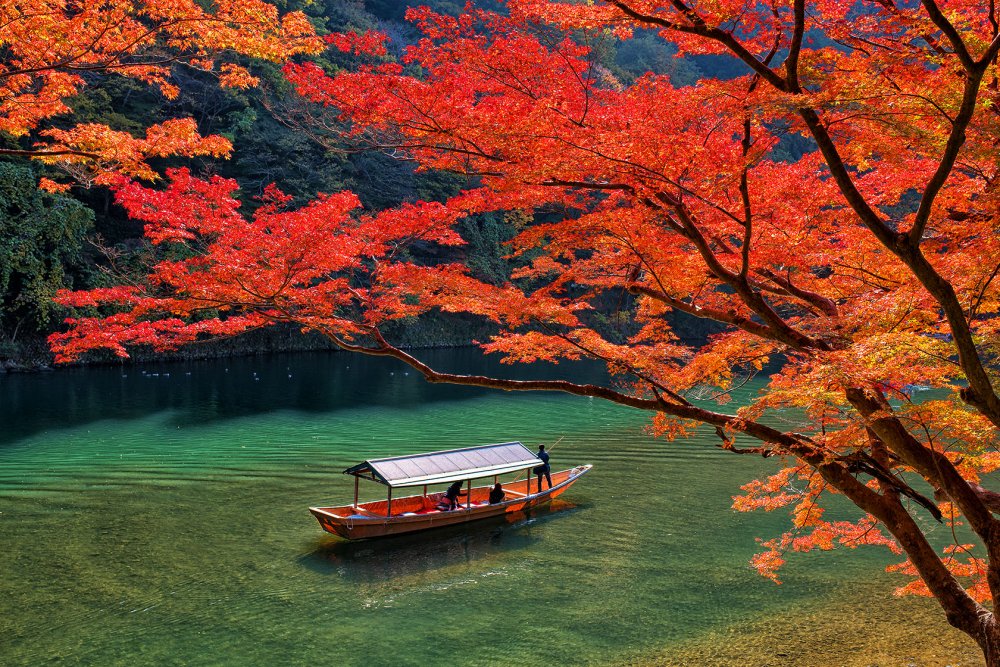 Осень в японии