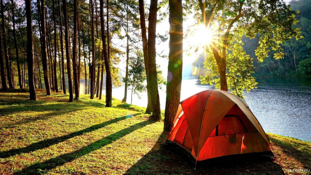 Торбеево озеро палаточный лагерь