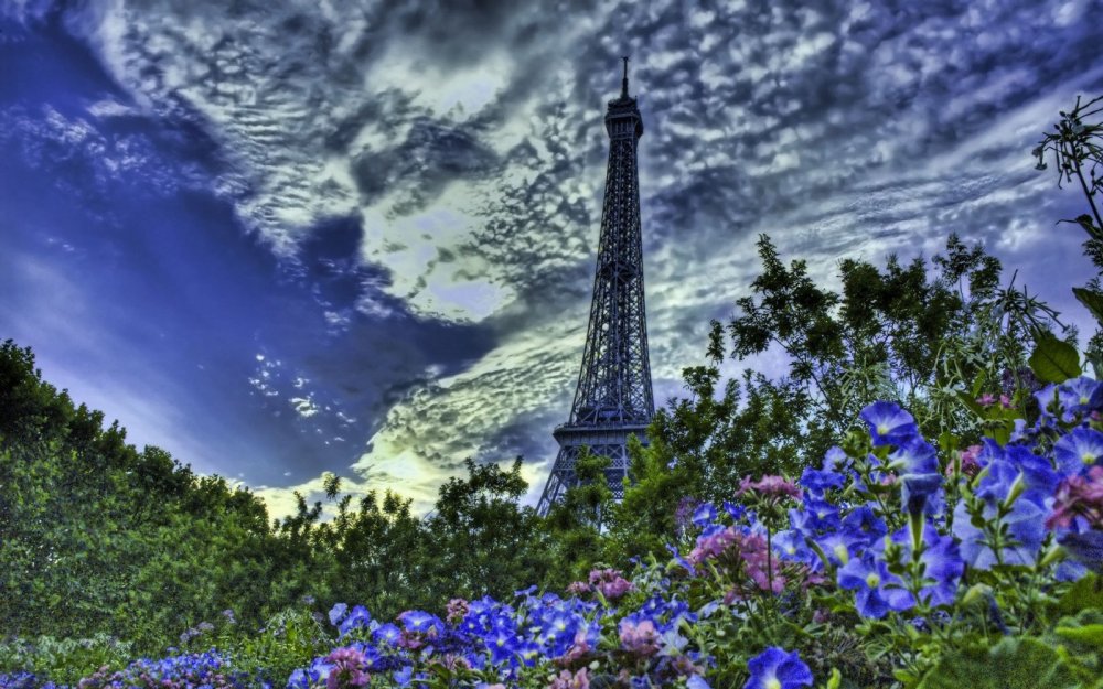 Париж эльфивая башня цветы
