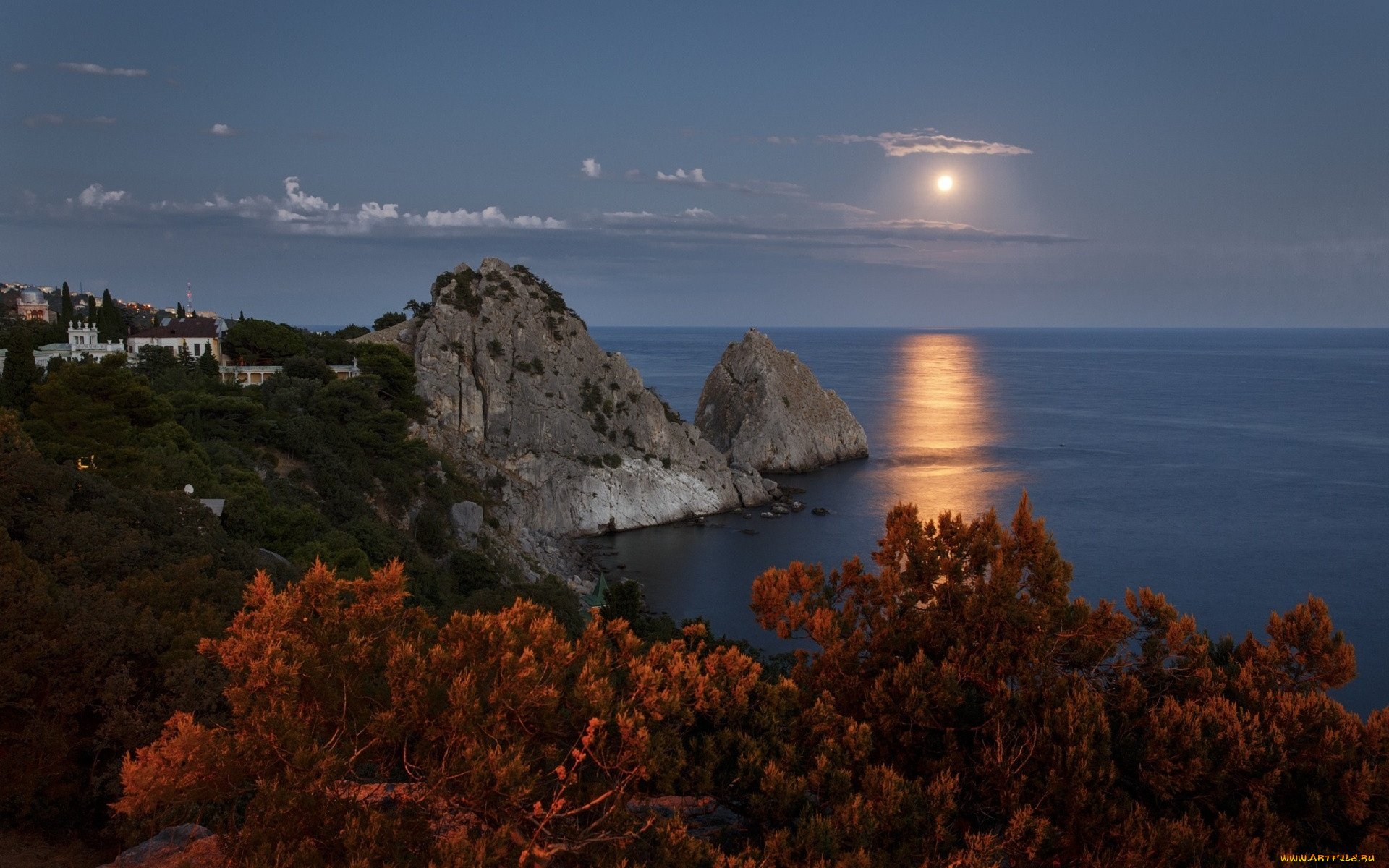 Черноморское побережье природа