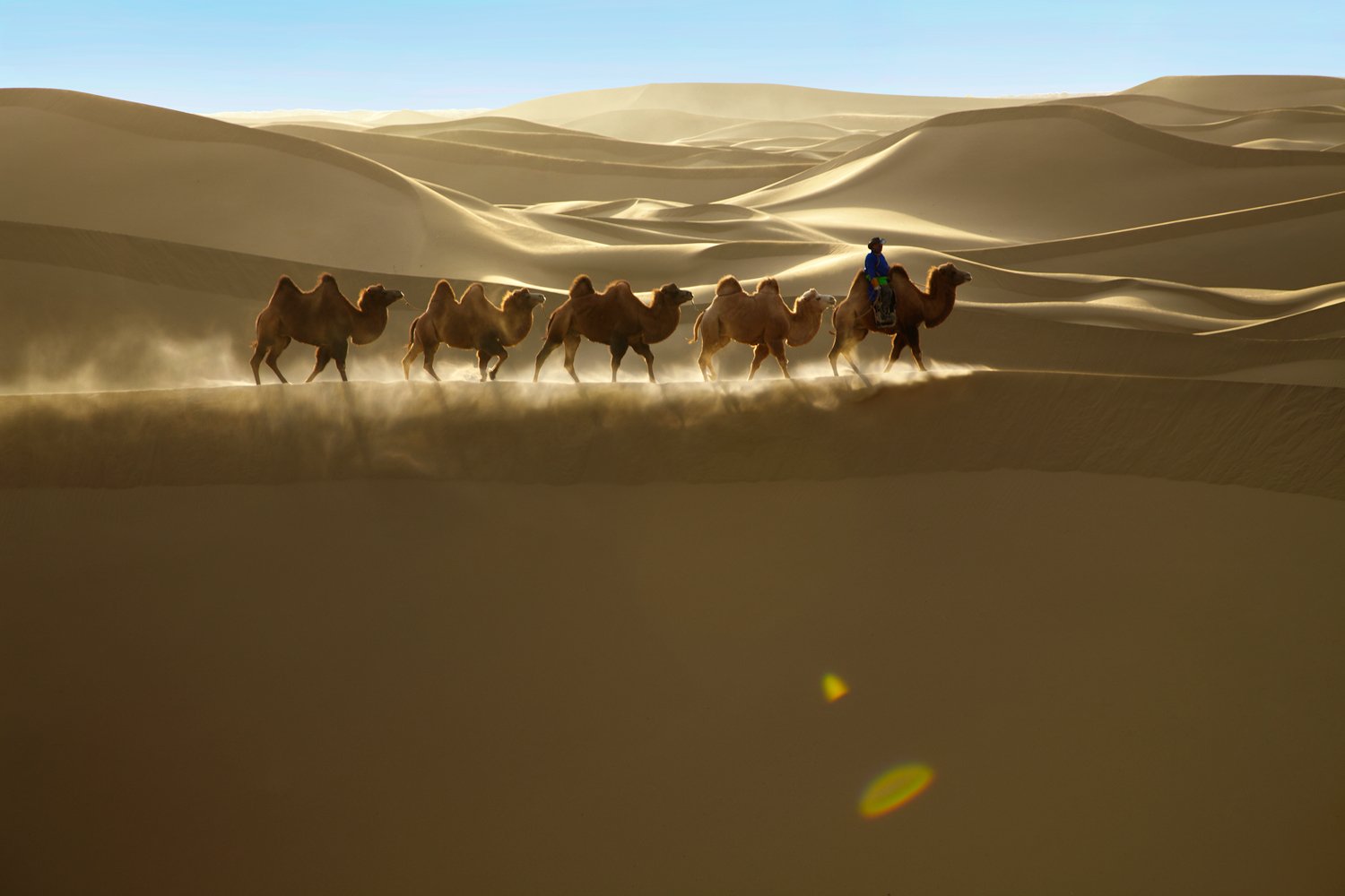 Гора караванов. Пустыня Гоби Монголия. Верблюды пустыни Гоби Монголия. Оазис в Гоби Монголии. Пустыня Барханы Оазис.