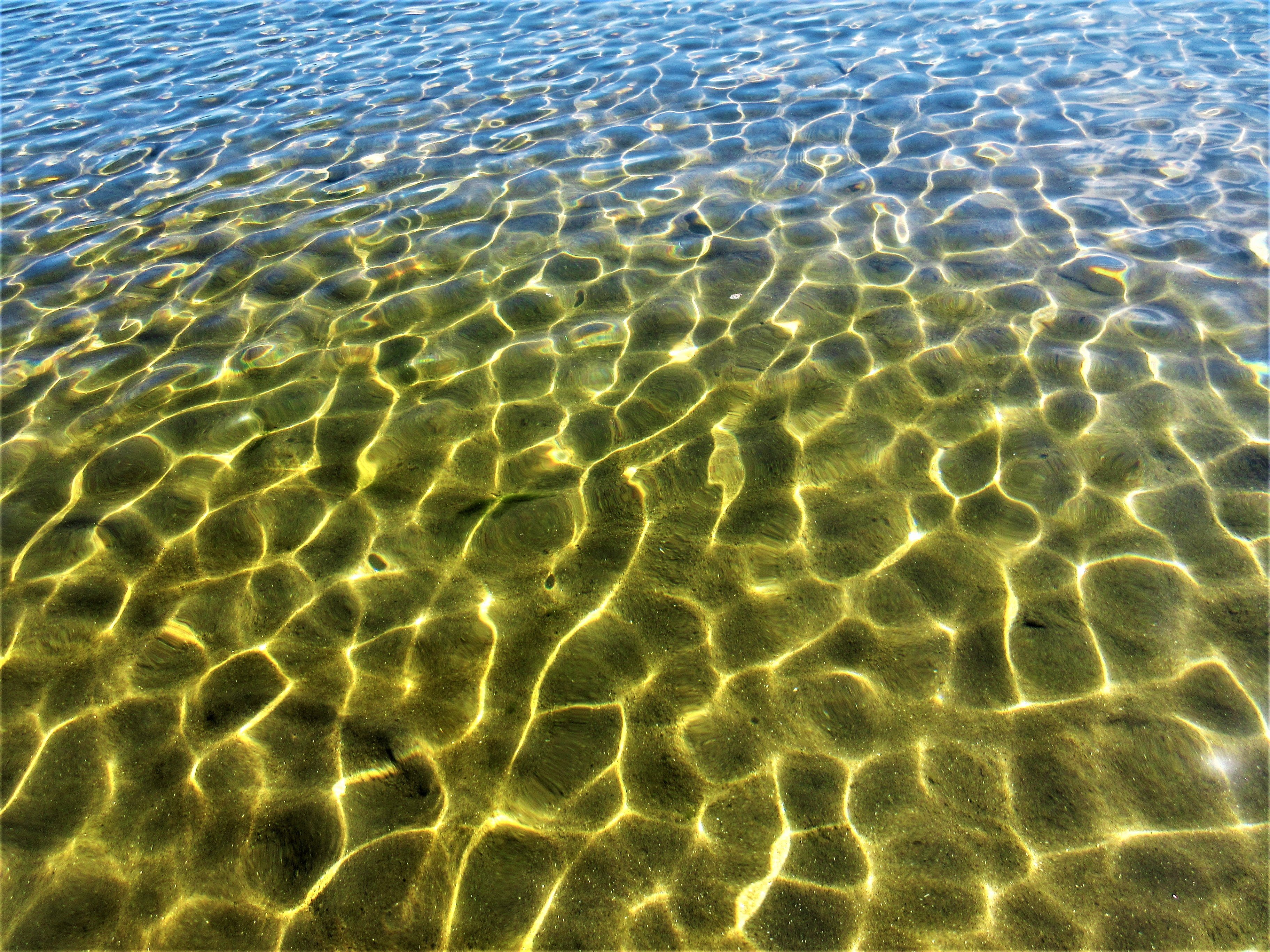 Желто коричневая вода. Прозрачная вода. Море. Текстура воды. Блики на воде.