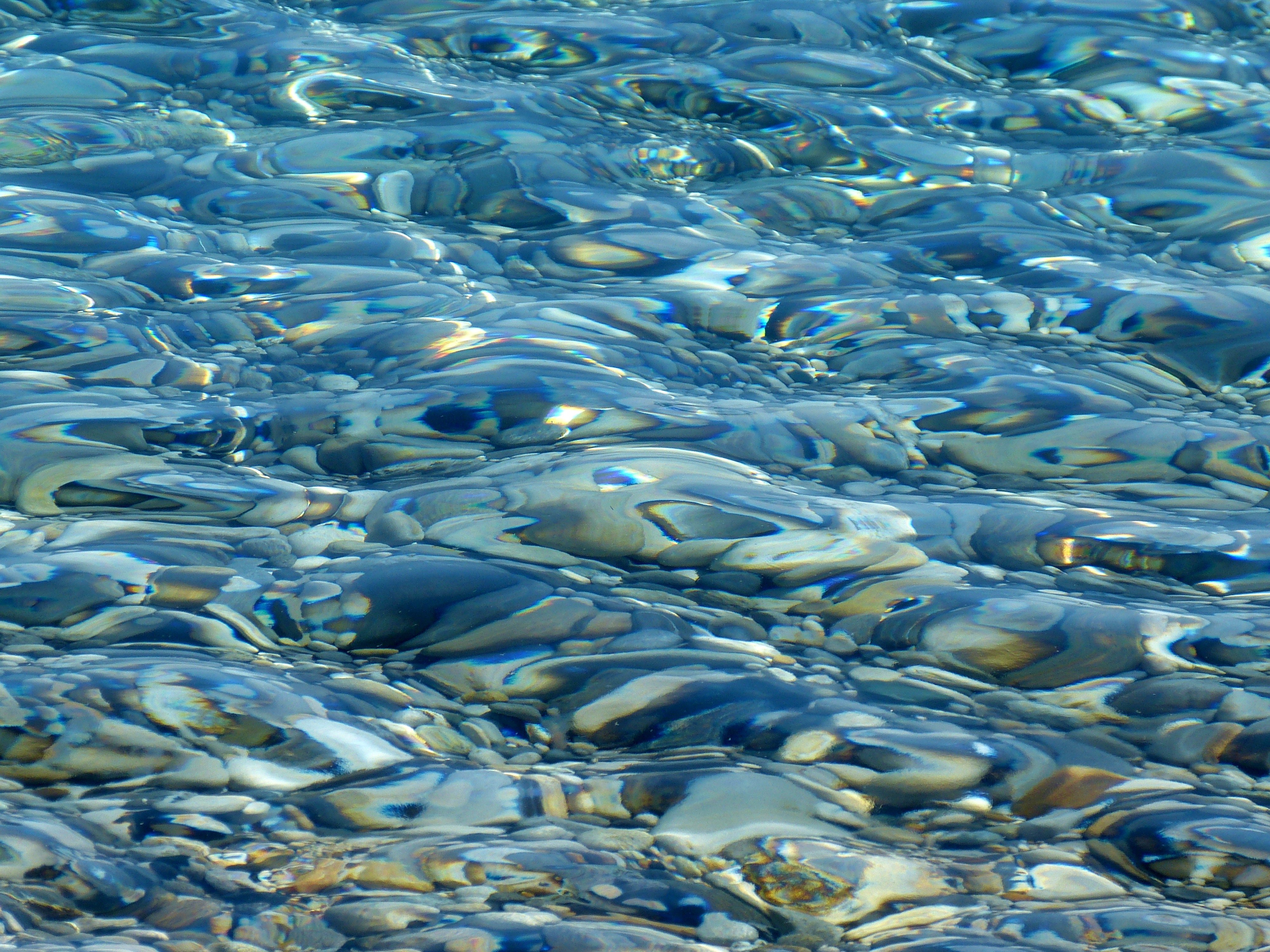 Видеть много рыб в прозрачной воде. Прозрачное море. Волны на воде. Поверхность воды. Прозрачная вода.