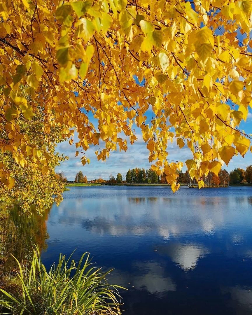 Золотая осень река