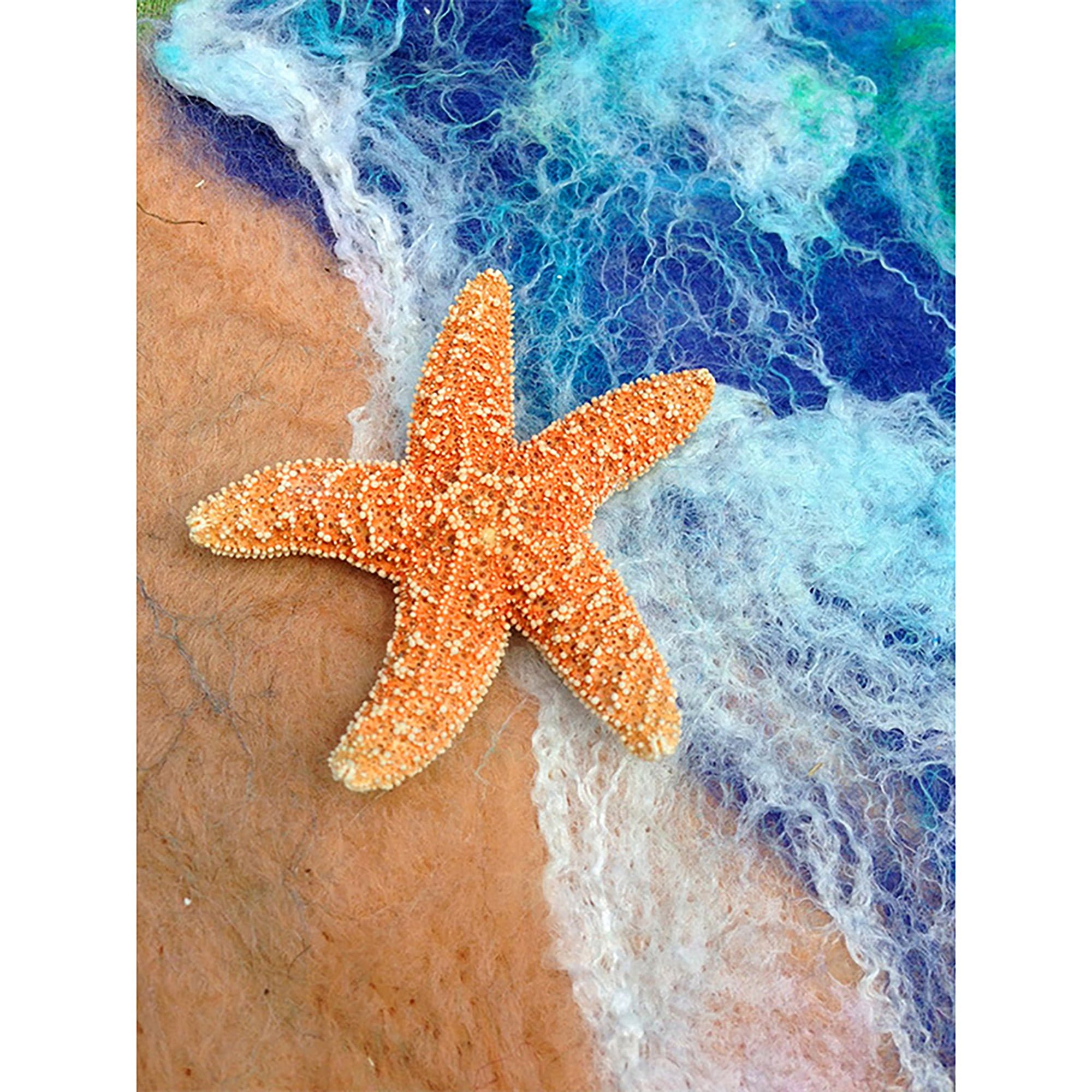 Морские звезды на дне. Морская звезда. Морская звезда красивая. Морская звезда на пляже. Разноцветные морские звезды.