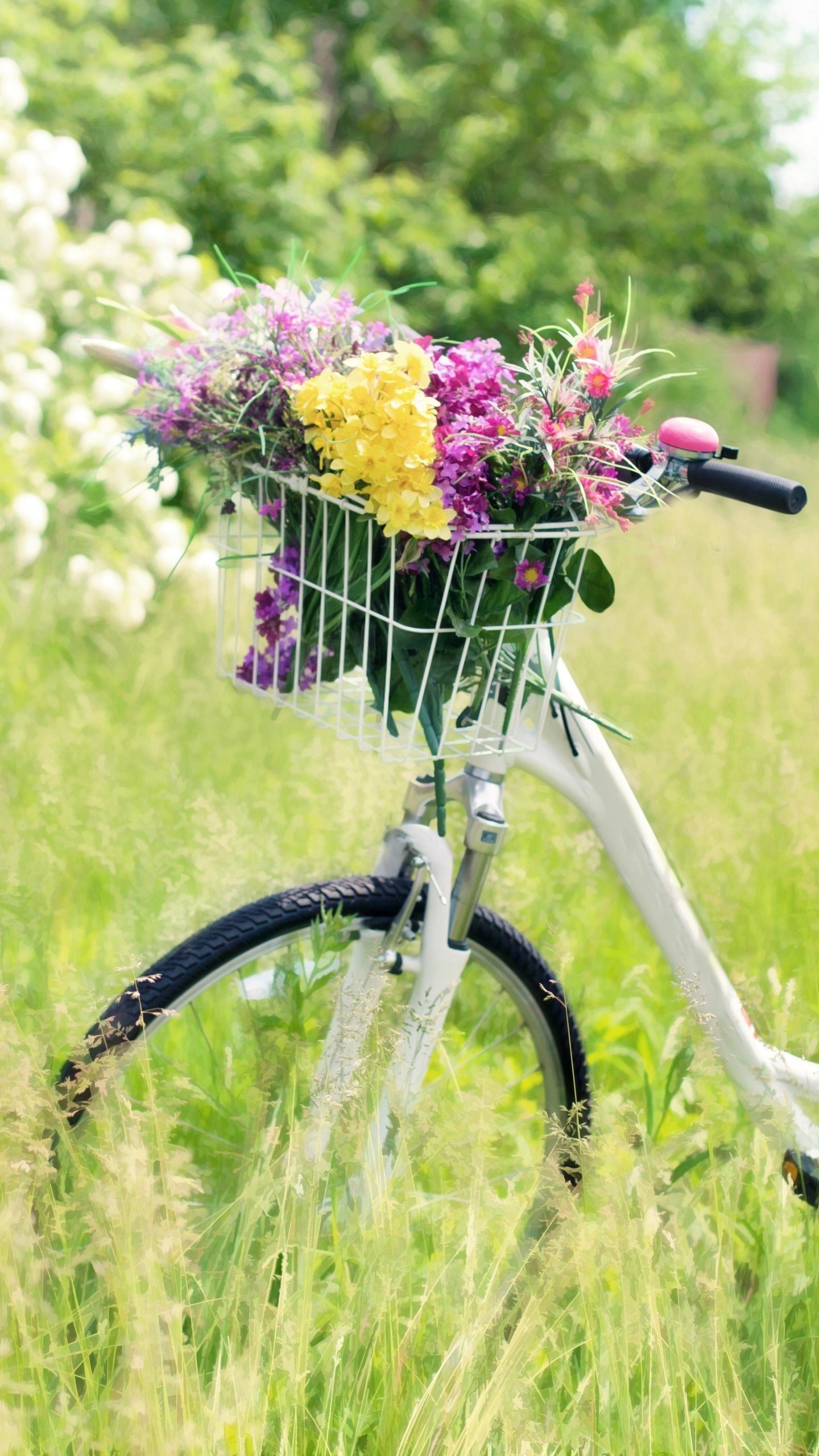 Велосипед в цветах зеленый. Велосипед цветы. Велосипед с цветами. Велосипед с корзинкой. Велосипед с летними цветами.