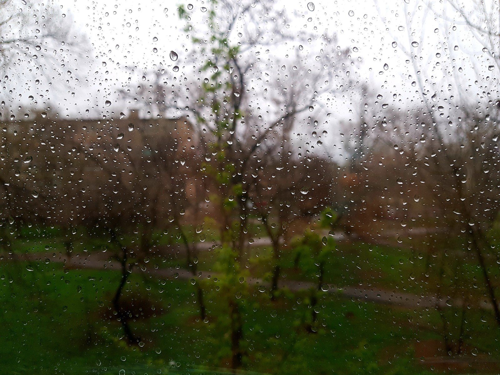 Весенне дождливое. Дождь весной. Лето дождь. Ливень.