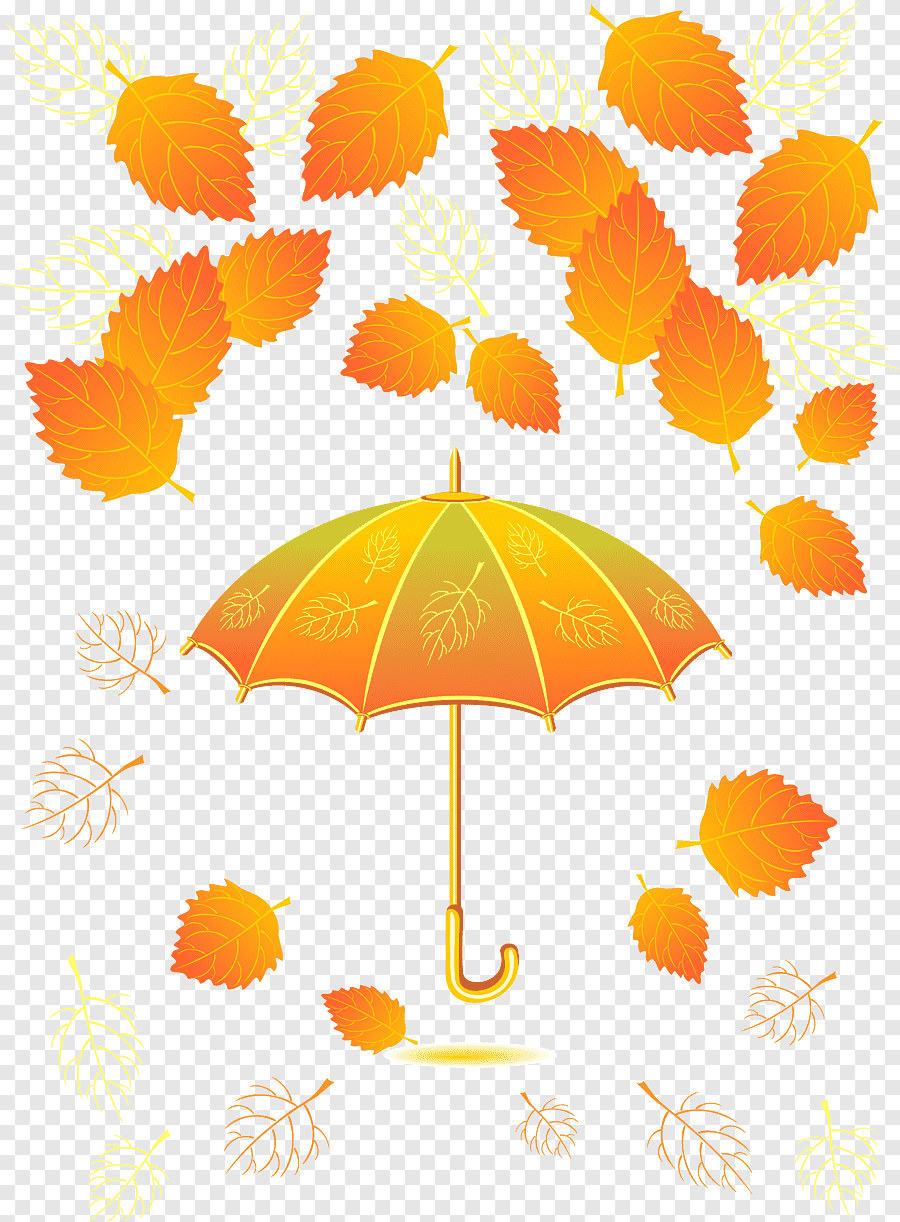 Осенние зонтики детские